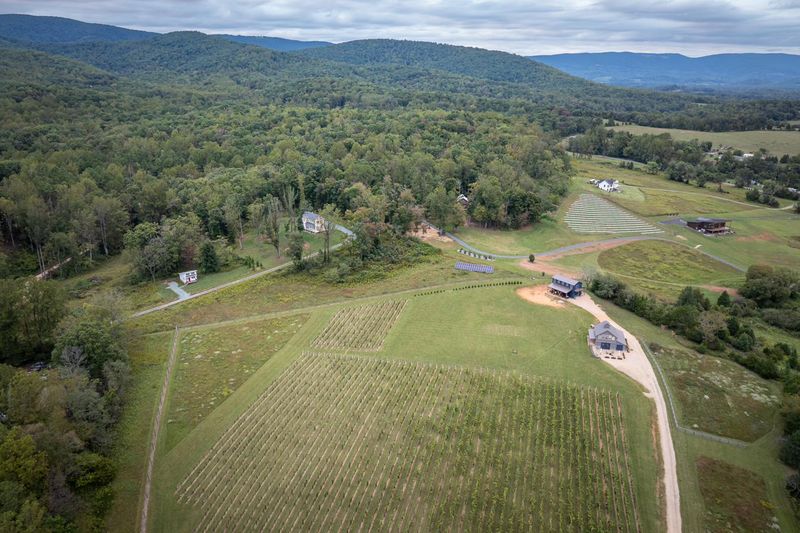 Both homes in the trees, with the vineyard next door and the mountains beyond